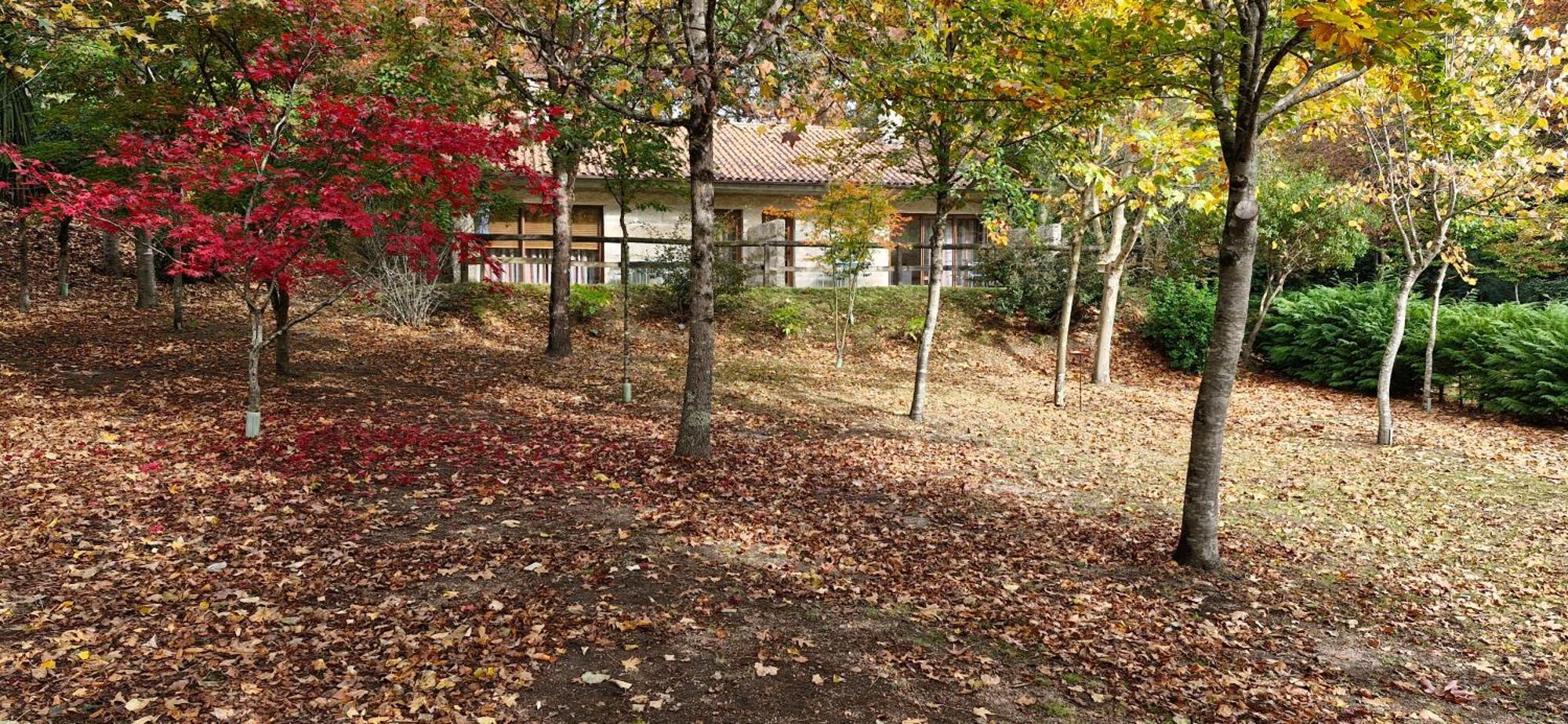 Bungalows - Serra Do Geres Campo do Geres Extérieur photo